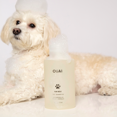 Just Launched: Our Paw-some Pet Shampoo, Fur Bébé