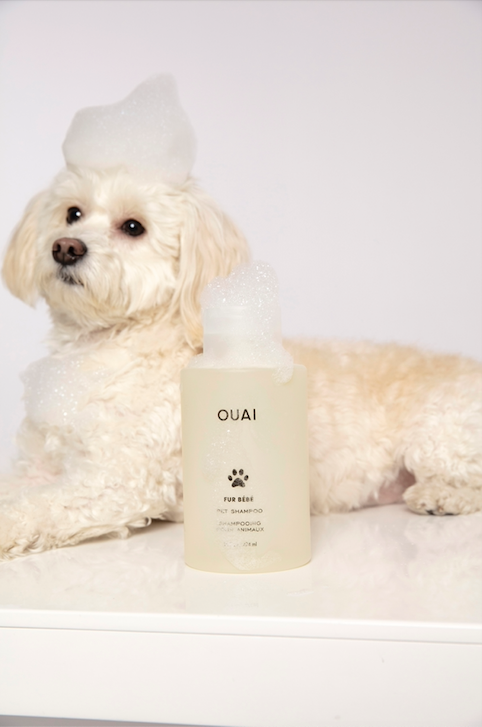 Just Launched: Our Paw-some Pet Shampoo, Fur Bébé