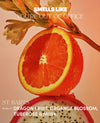 Sliced orange and dragon fruit with floral elements on a peach-colored background, featuring text about fragrance notes.
