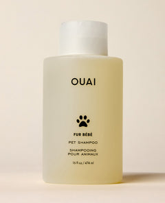 A translucent OUAI Fur Bébé Pet Shampoo bottle containing pale yellow liquid stands against a cream studio background. Text: “OUAI”, “FUR BÉBÉ”, “PET SHAMPOO”, “SHAMPOOING POUR ANIMAUX”, “16 fl oz / 474 ml”.