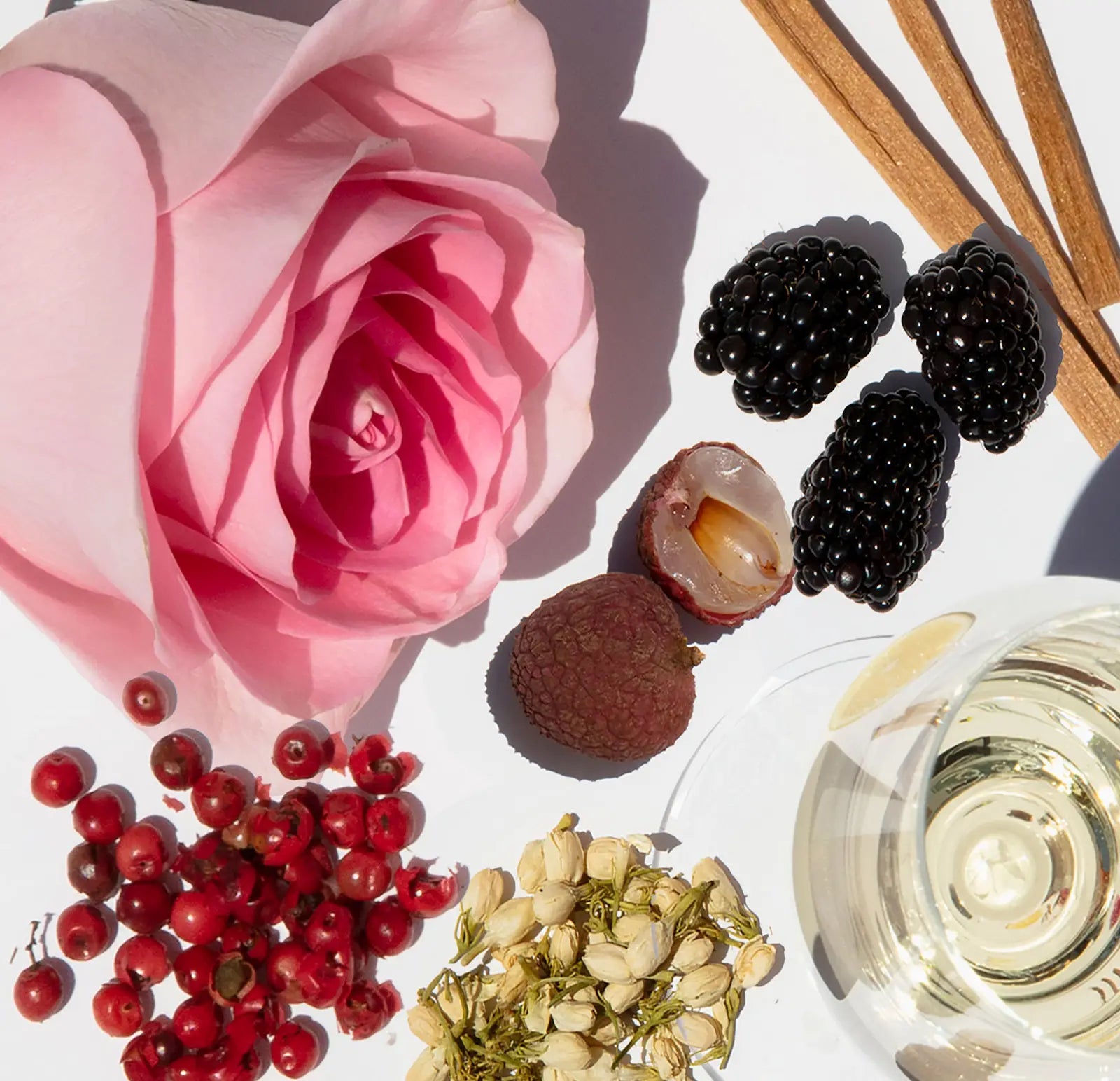 Pink rose, blackberries, lychees, red currants, dried herbs, and a glass of white wine on a white surface.