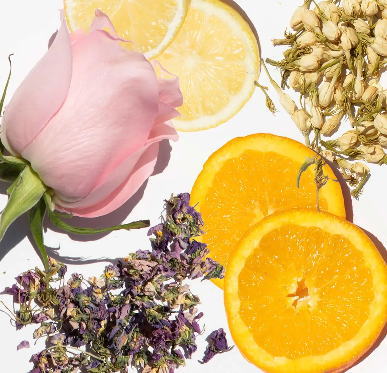 Pink rose, lemon slices, orange slices, and dried flowers on a white background