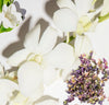 Close-up of white flowers with a small cluster of purple flowers on a light background